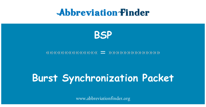 BSP: Burst Synchronization Packet