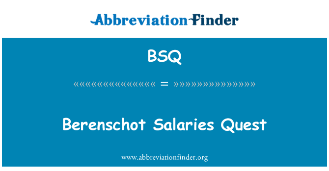 BSQ: Berenschot salarii Quest