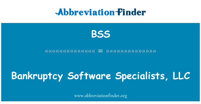 BSS: Faliment Software specialişti, LLC