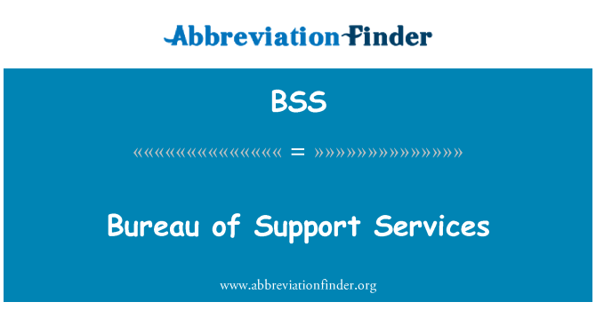 BSS: Præsidiet Support Services