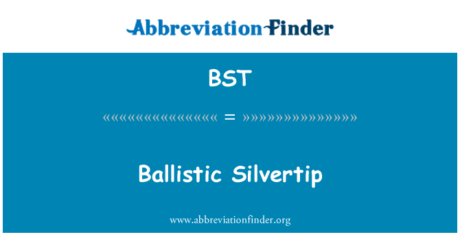 BST: Ballistiske Silvertip