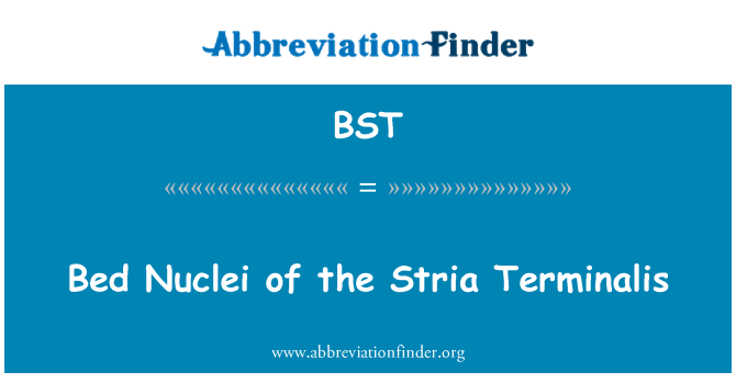 BST: Posteľ jadier amygdala terminalis strie