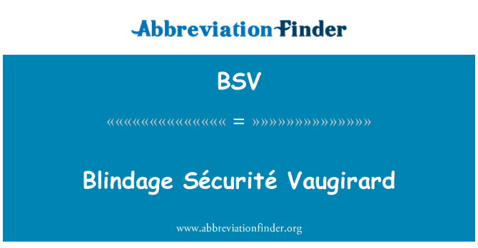 BSV: Blindage Sécurité Vaugirard