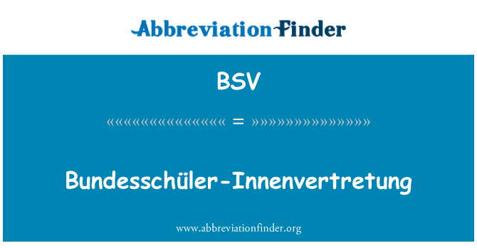 BSV: Bundesschüler-Innenvertretung