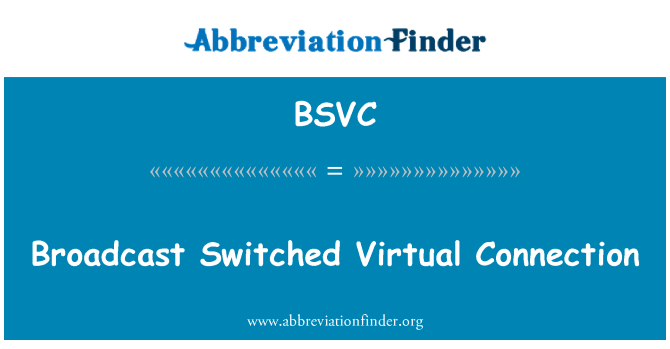 BSVC: Transliacijos perėjo virtualų ryšį