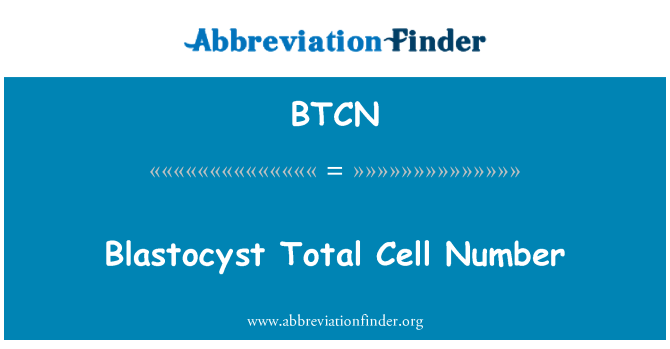 BTCN: Blastocistos bendras ląstelių skaičius