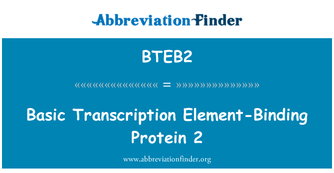 BTEB2: Transkripsi asas unsur-ikatan Protein 2