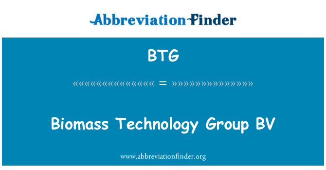 BTG: Біомаса Technology Group BV