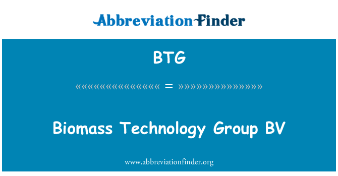 BTG: Gwoup teknoloji Byomass BV