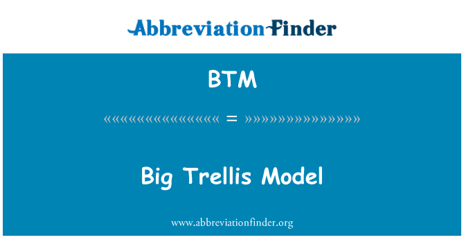 BTM: Büyük kafes Model