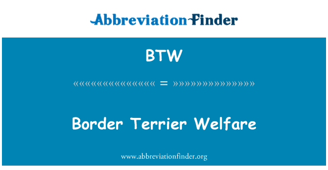 BTW: Kebajikan Terrier sempadan