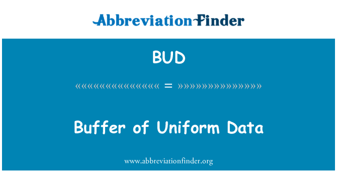 BUD: Buffer di dati uniformi