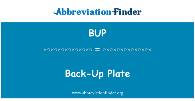 BUP: Back-Up plaat