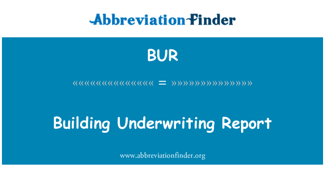 BUR: عمارت کی رپورٹ انڈروراٹانگ
