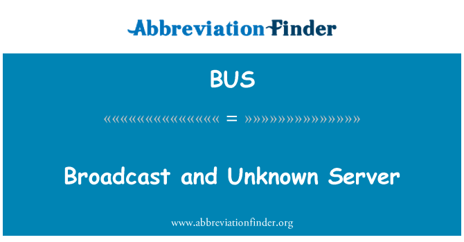 BUS: ブロードキャストと不明なサーバー