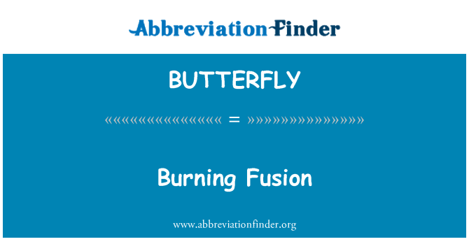 BUTTERFLY: Brenning Fusion