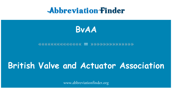 BvAA: Britiske ventil og aktuator Association