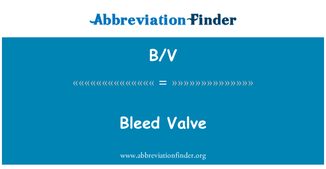 B/V: Berdarah Valve