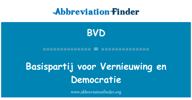 BVD: Basispartij voor Vernieuwing en Democratie
