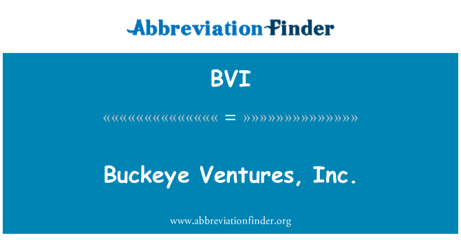 BVI: Buckeye Ventures, Inc