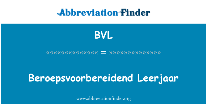 BVL: Beroepsvoorbereidend Leerjaar