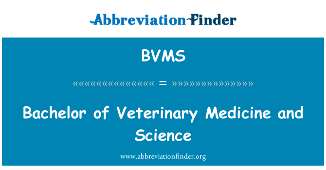 BVMS: بیچلر آف سائنس اور طب حیوانات