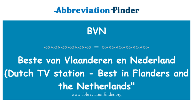 BVN: Beste van Vlaanderen en Nederland (stazione TV olandese - meglio nelle Fiandre e Paesi Bassi