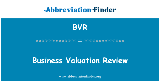 BVR: Verksamhetsöversikt värdering