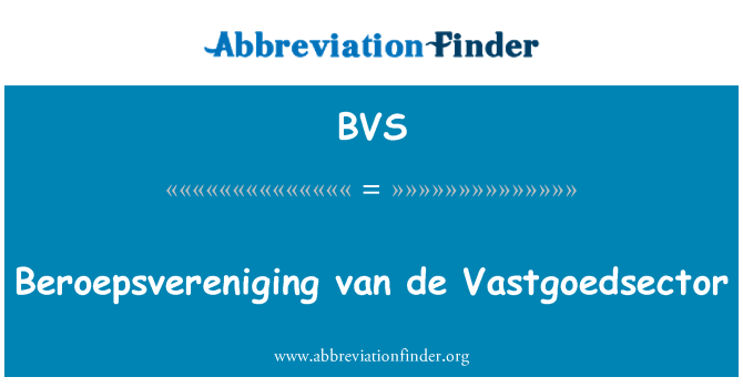 BVS: Beroepsvereniging van de Vastgoedsector