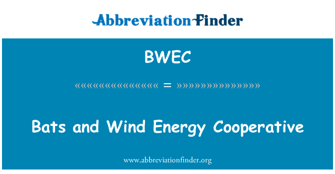 BWEC: Летучие мыши и кооператив энергии ветра
