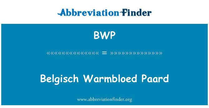 BWP: Belgisch Warmbloed Paard