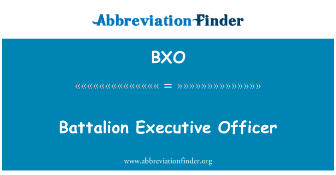 BXO: Bataljon Executive Officer