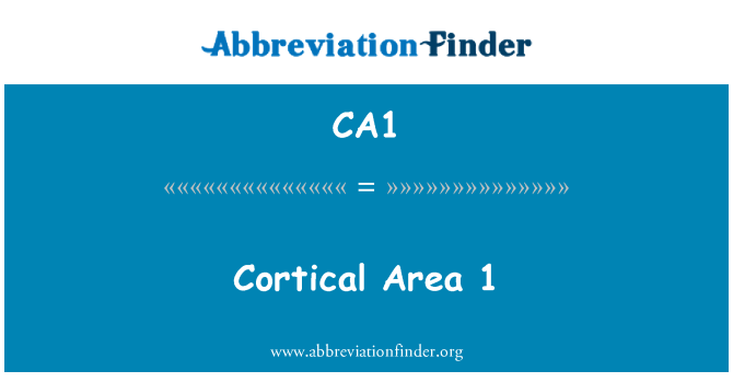CA1: Àrea cortical 1