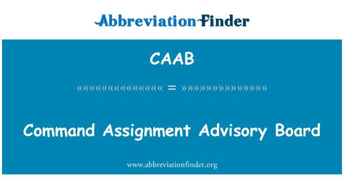 CAAB: הפקודה הקצאה המייעצת