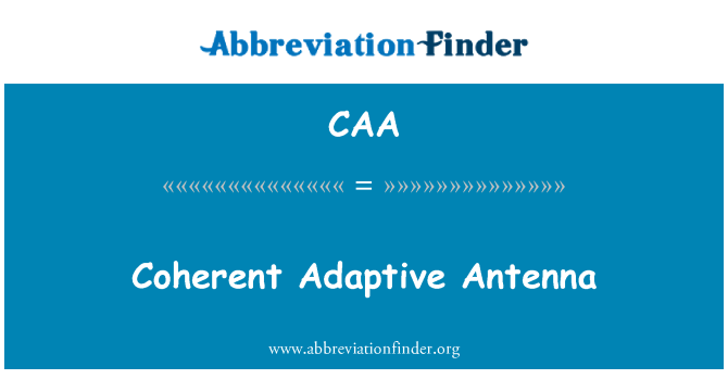 CAA: Antenna adattivo coerente