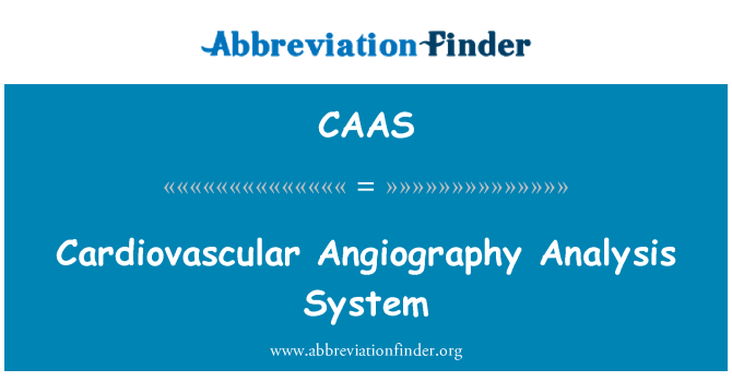 CAAS: Sistem analisis perkhidmatan angiografi kardiovaskular