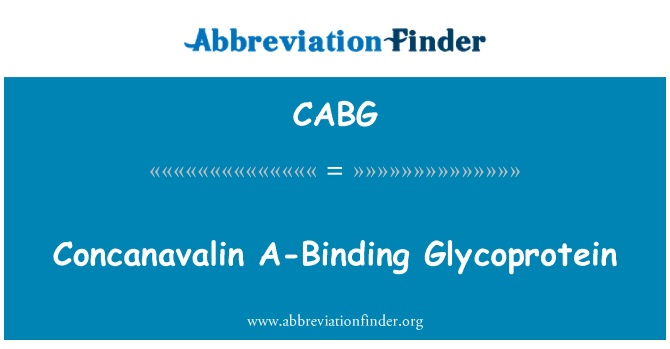 CABG: Concanavalin A-איגוד גליקופרוטאין