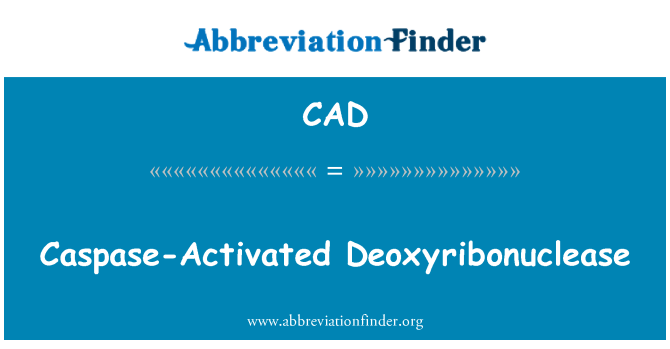 CAD: Obuhvaćali aktivira Deoxyribonuclease