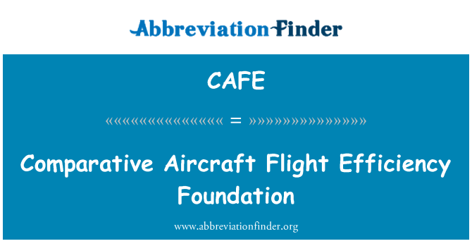 CAFE: Comparative Aircraft Flight Efficiency Foundation