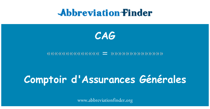 CAG: Comptoir d'Assurances Générales