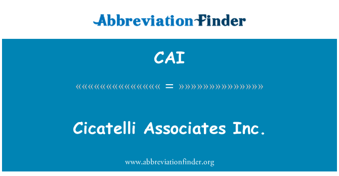 CAI: Cicatelli Associates inc.