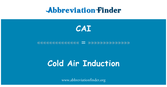 CAI: Zimne powietrze indukcyjne