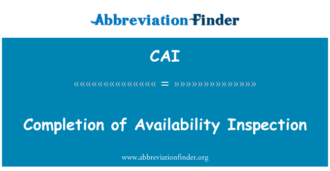 CAI: 完成的可用性检查