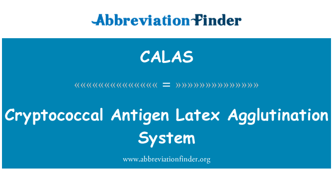 CALAS: מערכת התלכדות לייטקס אנטיגן cryptococcal