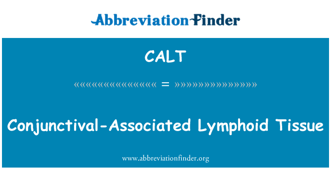 CALT: Bindehaut-assoziiertes Lymphgewebe