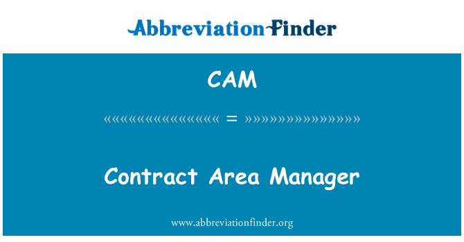 CAM: Contratto Area Manager