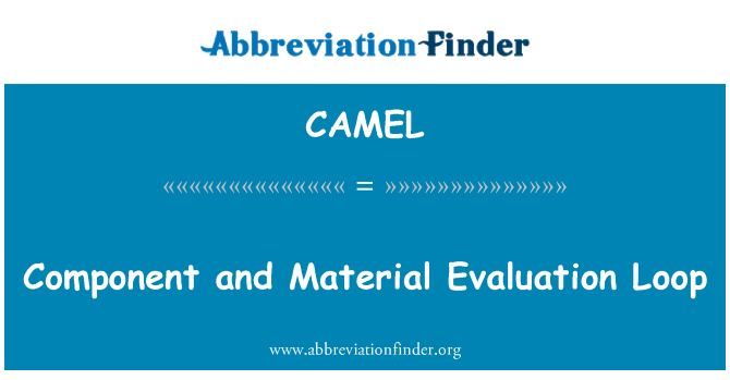 CAMEL: Komponendi ja materjali hindamise silmus