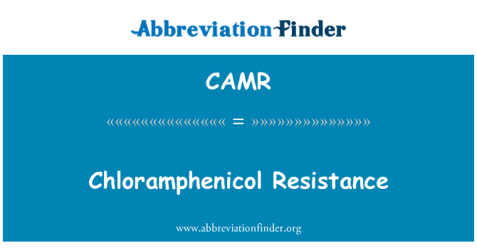 CAMR: Kloramfenikol perlawanan