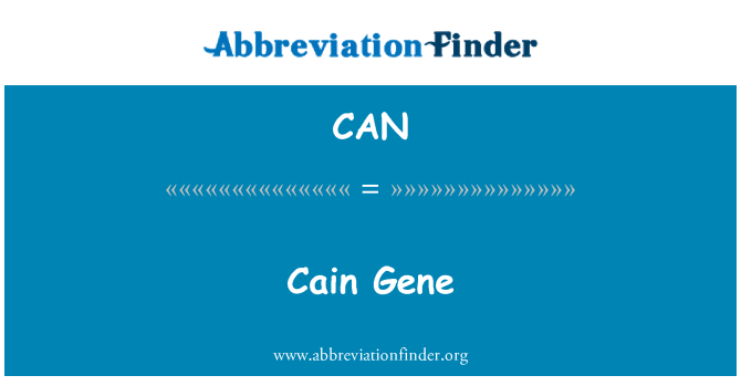 CAN: Cain gen