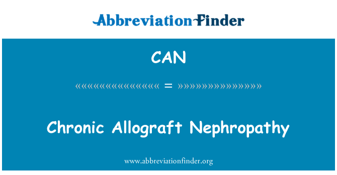 CAN: Chronic Allograft Nephropathy